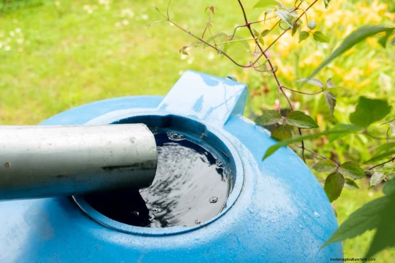 Rainwater Harvesting for Gardens: A Complete Guide