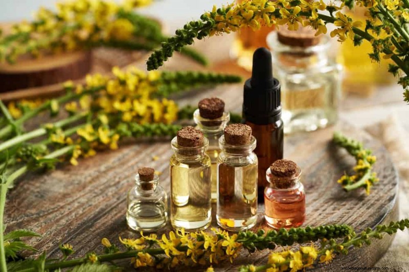 Organic Pest Control: 12 Natural Methods for a Healthy Garden