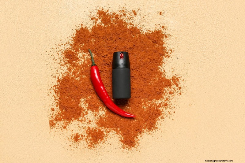 Organic Pest Control: 12 Natural Methods for a Healthy Garden