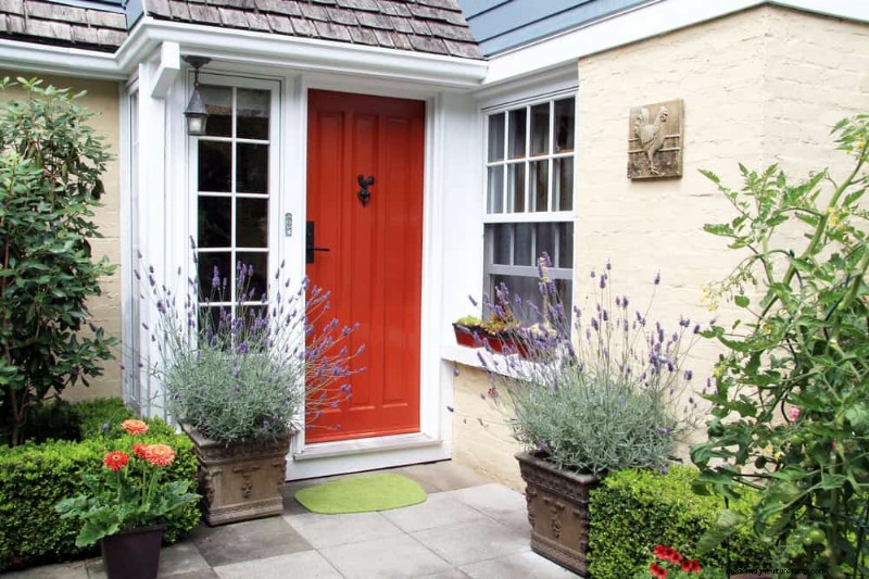 12 Best Spring-Blooming Plants for Container Gardens