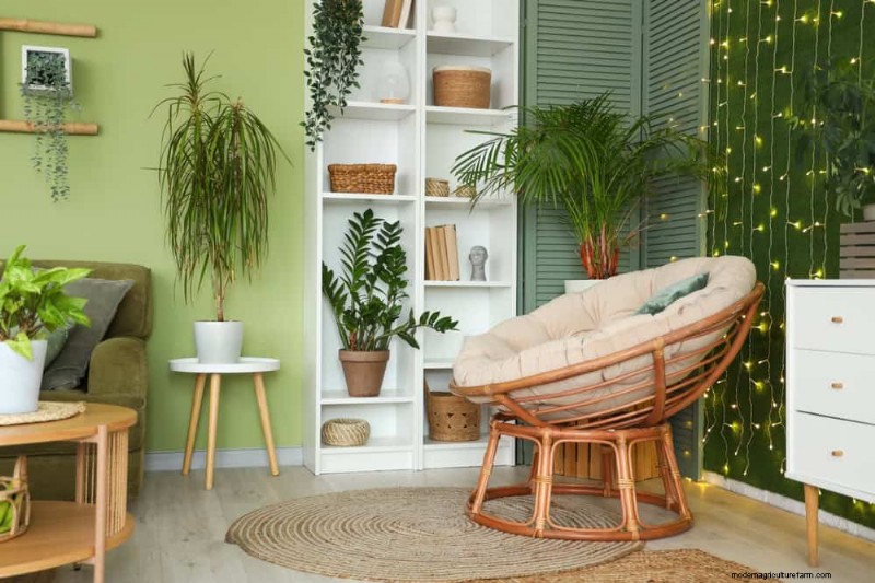 Low-Maintenance Houseplants: 8 Self-Watering Varieties for Easy Care