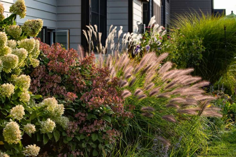 Ornamental Grasses: 12 Creative Landscaping Ideas