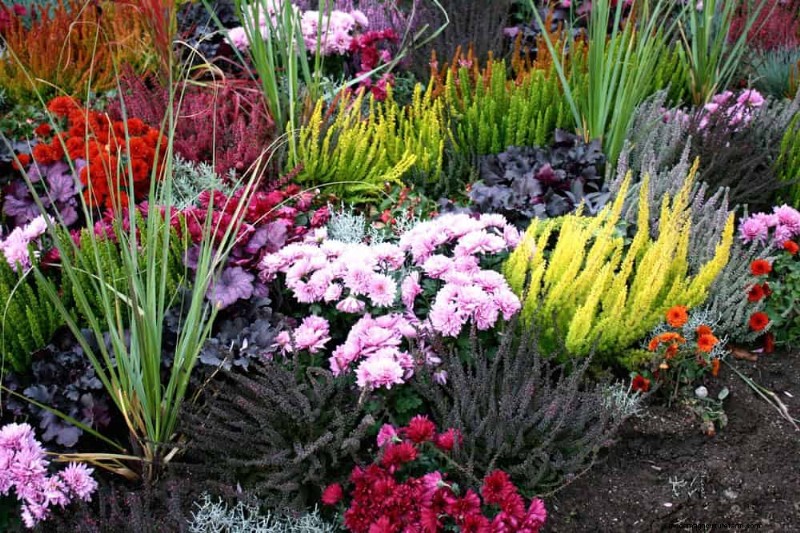 Ornamental Grasses: 12 Creative Landscaping Ideas