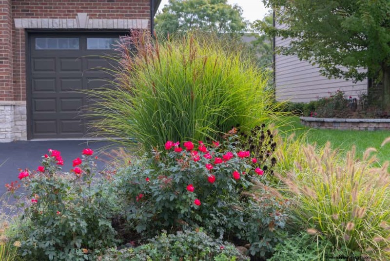 Ornamental Grasses: 12 Creative Landscaping Ideas