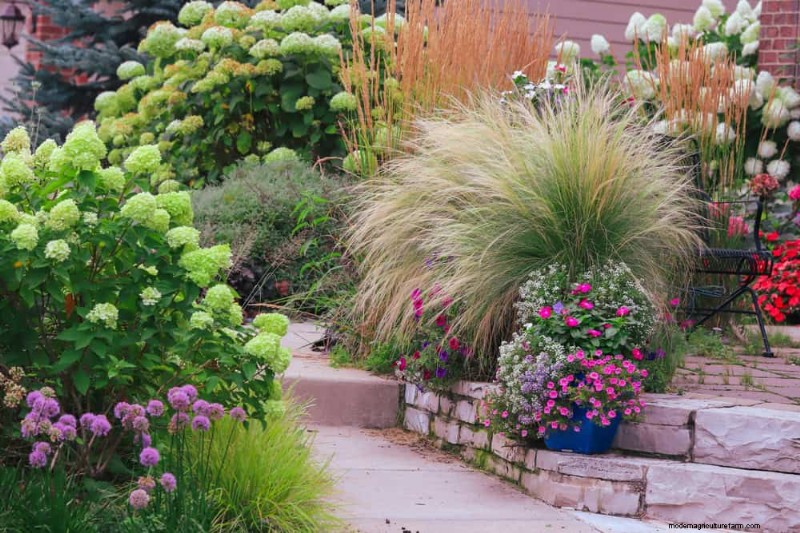 Ornamental Grasses: 12 Creative Landscaping Ideas