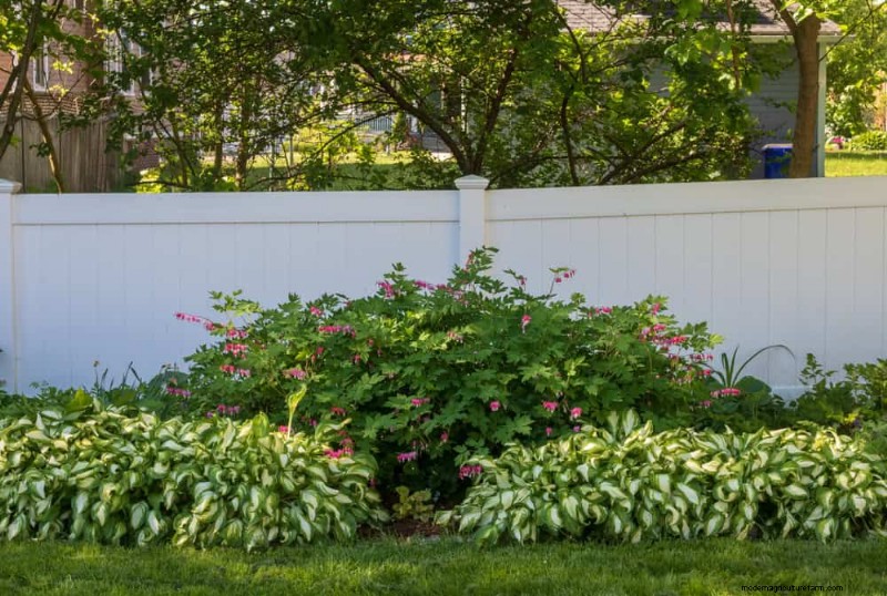 Spring Flower Pairings: 15 Stunning Combinations for Your Garden