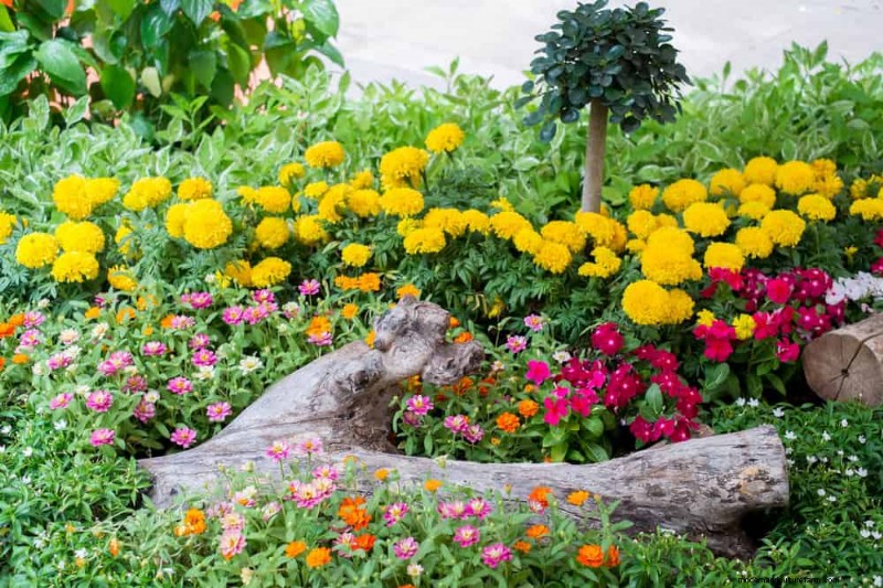 Spring Flower Pairings: 15 Stunning Combinations for Your Garden