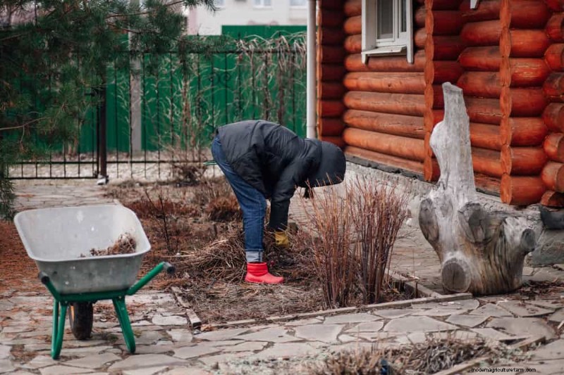 Spring Garden Prep: Essential Tasks for March | [Your Brand]