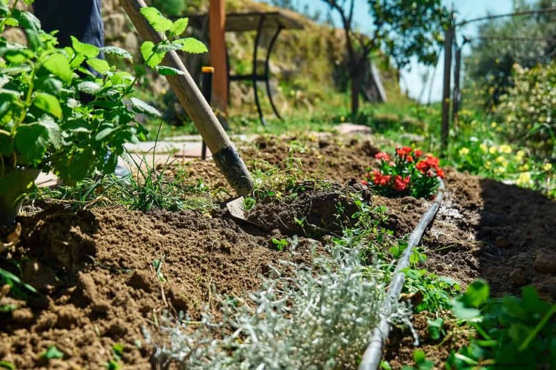 Spring Garden Prep: Essential Tasks for March | [Your Brand]