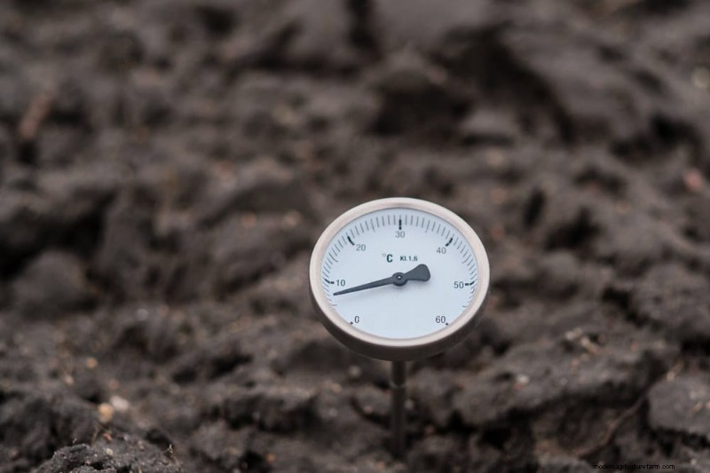Spring Garden Prep: Essential Tasks for March | [Your Brand]