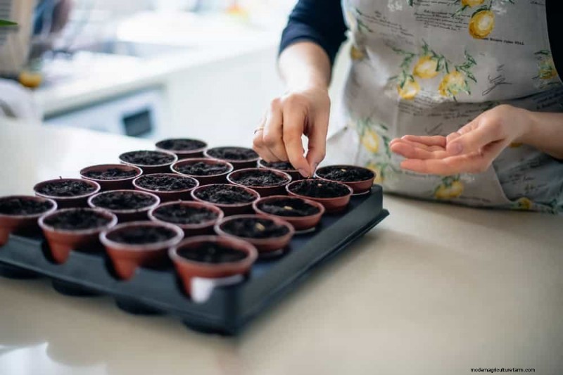 Spring Garden Prep: Essential Tasks for March | [Your Brand]