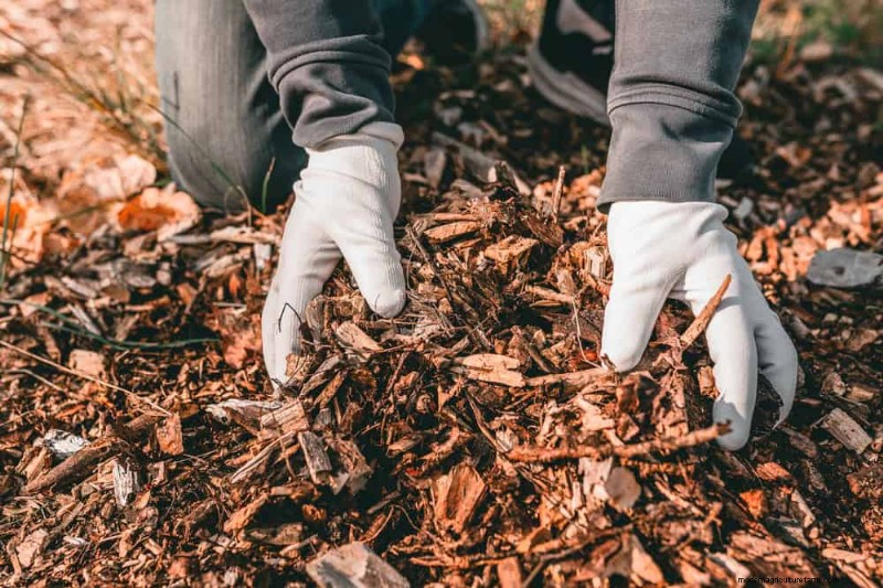 Spring Garden Prep: Essential Tasks for March | [Your Brand]