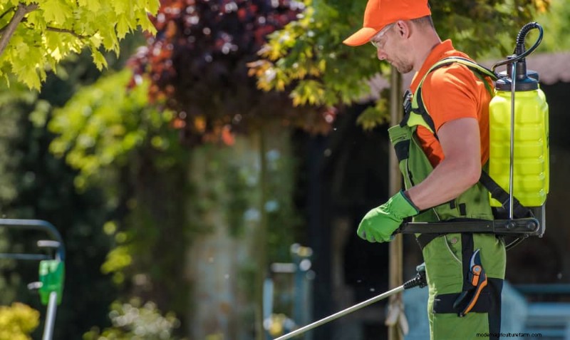 Spring Garden Prep: Essential Tasks for March | [Your Brand]