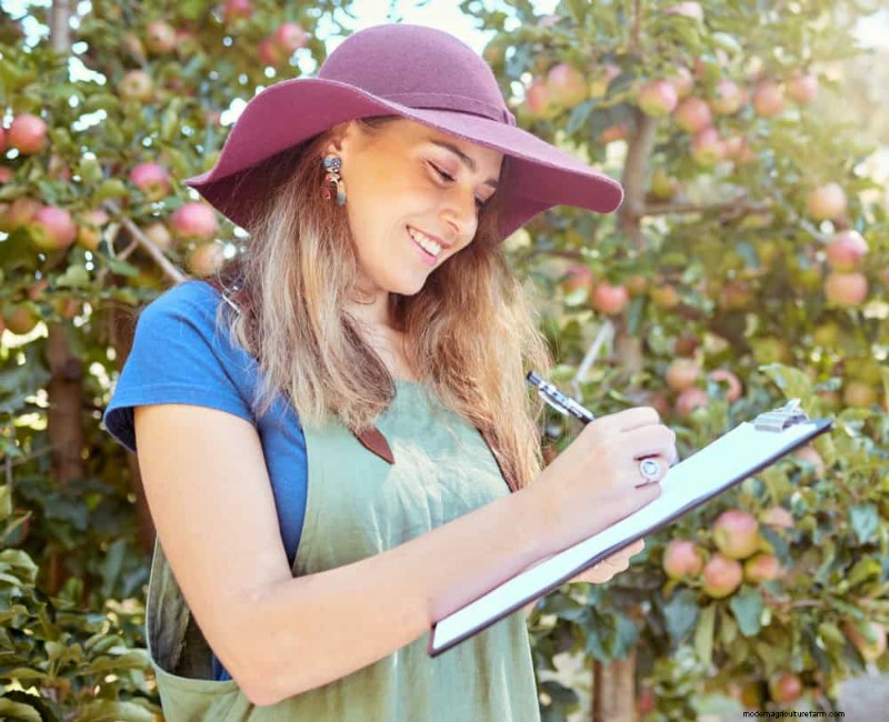 Spring Garden Prep: Essential Tasks for March | [Your Brand]