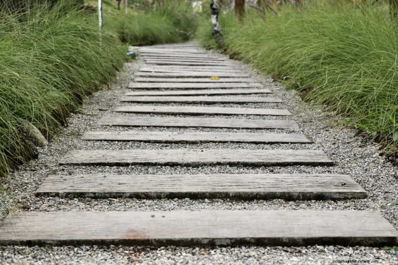 Transform Your Yard: 15 Stunning Garden Pathway Ideas