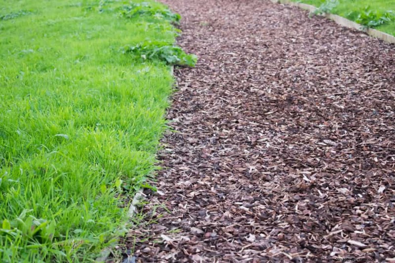 Transform Your Yard: 15 Stunning Garden Pathway Ideas