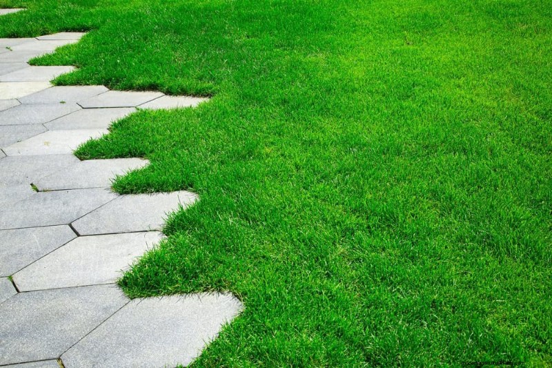 Transform Your Yard: 15 Stunning Garden Pathway Ideas