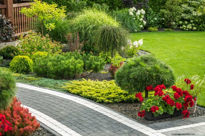 Transform Your Yard: 15 Stunning Garden Pathway Ideas