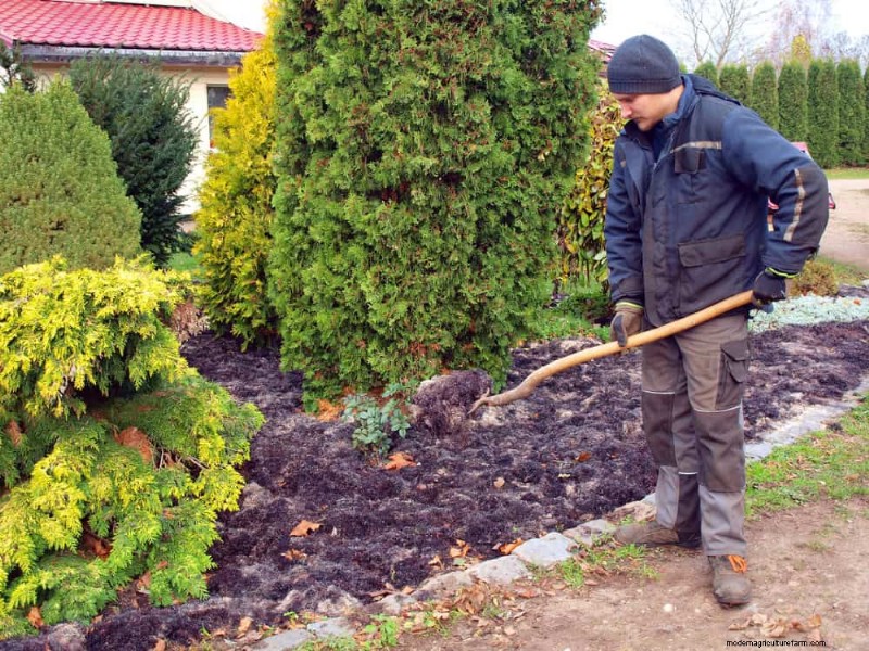 Winter-Damaged Garden Beds: 11 Repair & Restoration Tips