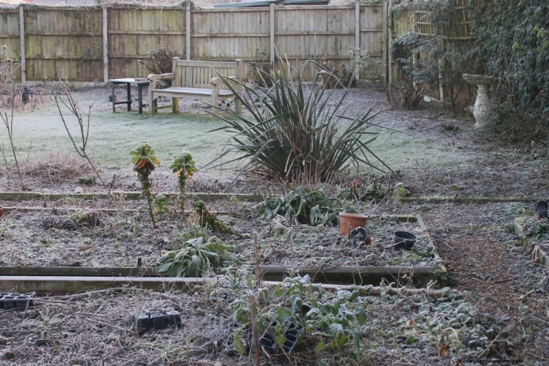 Winter-Damaged Garden Beds: 11 Repair & Restoration Tips