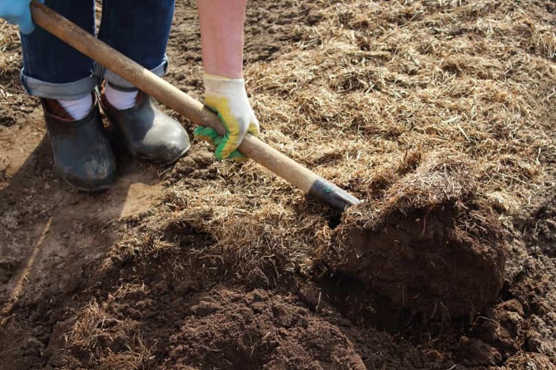 Winter-Damaged Garden Beds: 11 Repair & Restoration Tips
