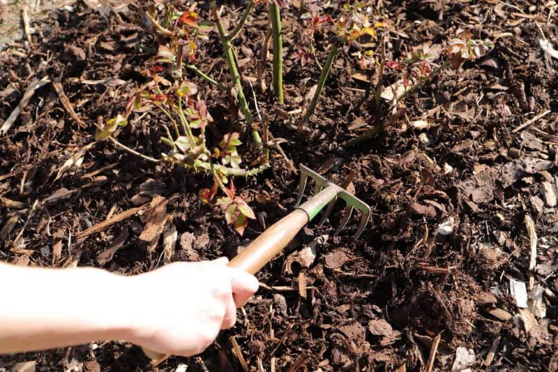 Winter-Damaged Garden Beds: 11 Repair & Restoration Tips