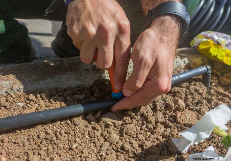 Winter-Damaged Garden Beds: 11 Repair & Restoration Tips