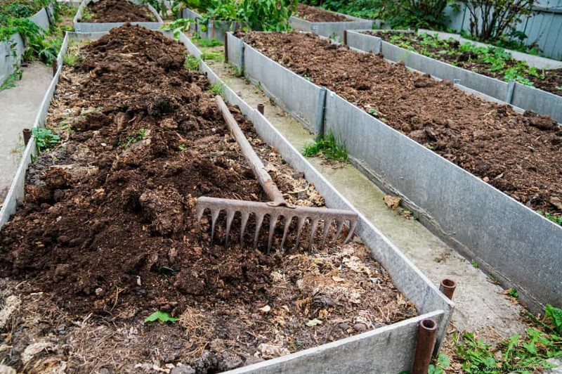 Winter-Damaged Garden Beds: 11 Repair & Restoration Tips