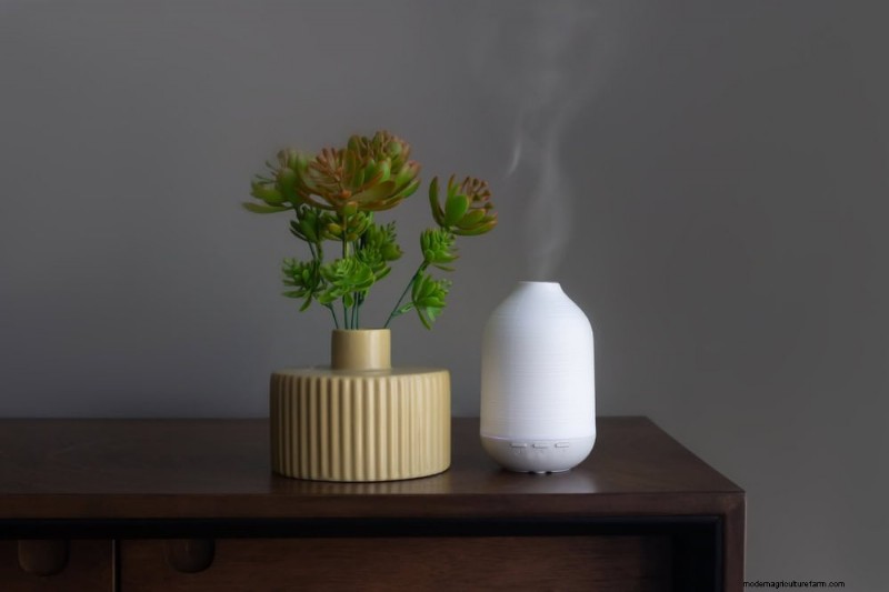 Winter Plant Care: A Month-by-Month Guide to Thriving Plants