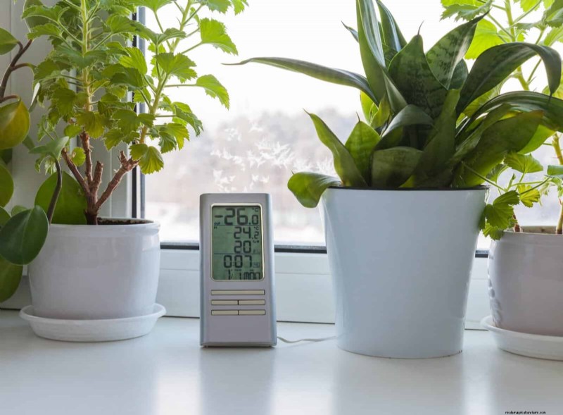 Winter Houseplant Care: 19 Expert Tips for Thriving Greenery