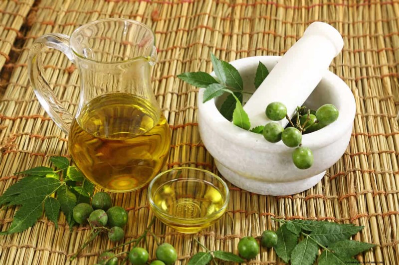 Winter Houseplant Care: 19 Expert Tips for Thriving Greenery