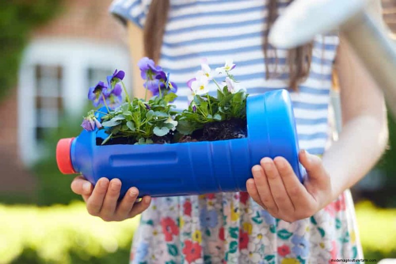 Winter Houseplant Care: 19 Expert Tips for Thriving Greenery