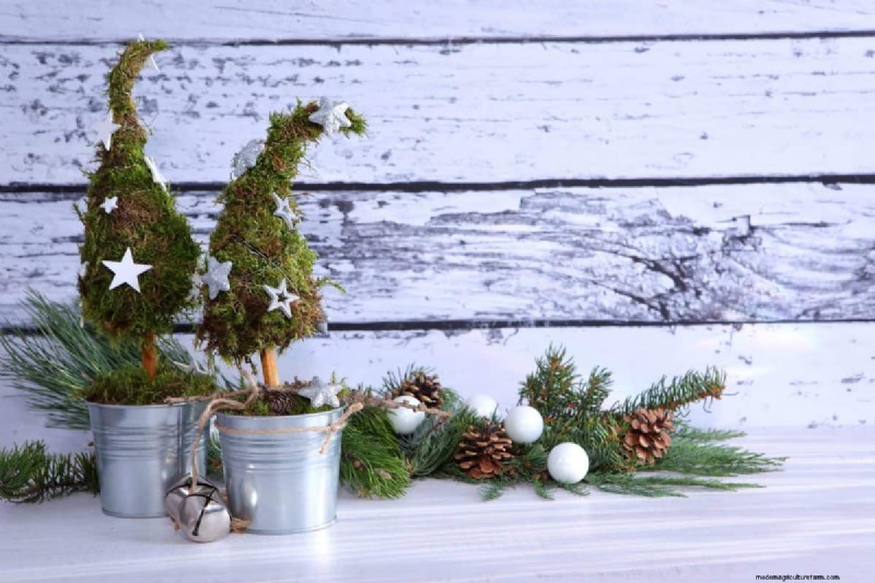 Holiday Plant Care: Extend the Life of Your Festive Greens