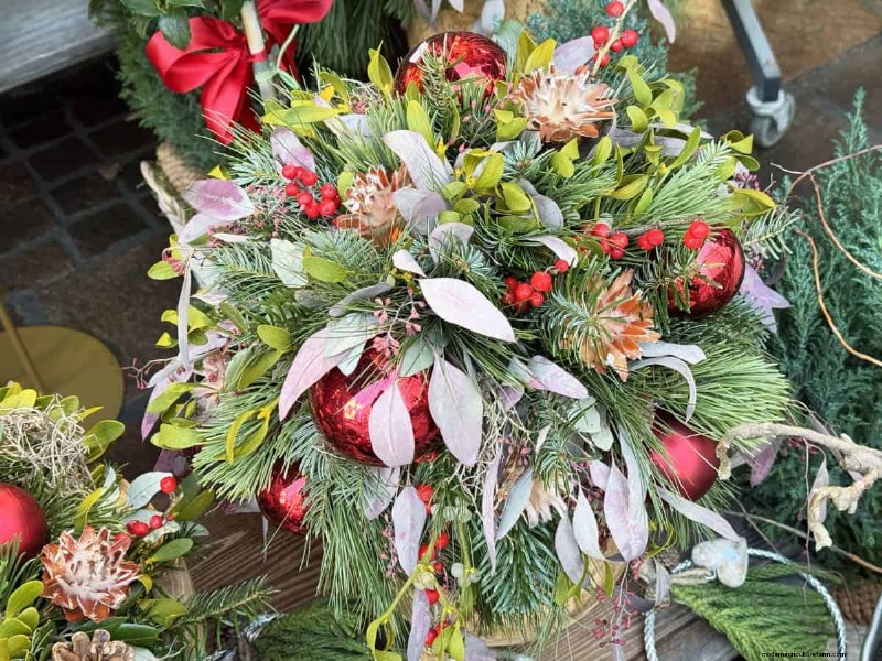 Holiday Plant Care: Extend the Life of Your Festive Greens