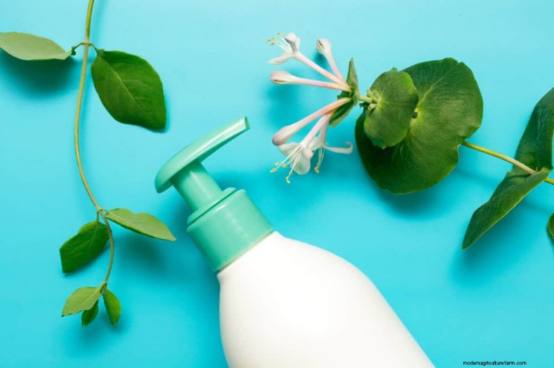 Healthy Plants: 11 Effective Leaf Cleaning Methods