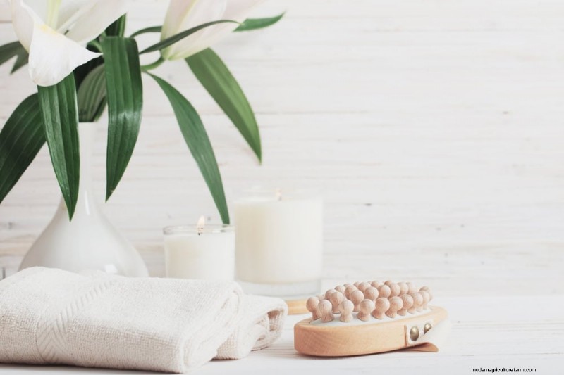 Boost Plant Health: 11 Proven Ways to Increase Humidity Indoors