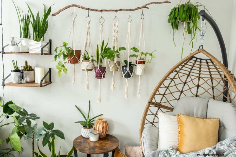 Small Apartment Plant Ideas: Designer-Approved Spaces
