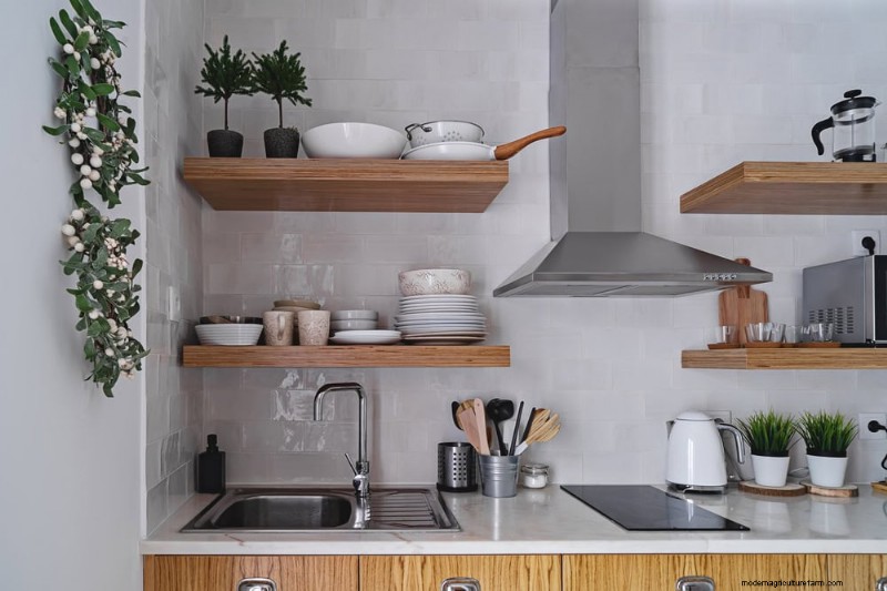 Small Apartment Plant Ideas: Designer-Approved Spaces