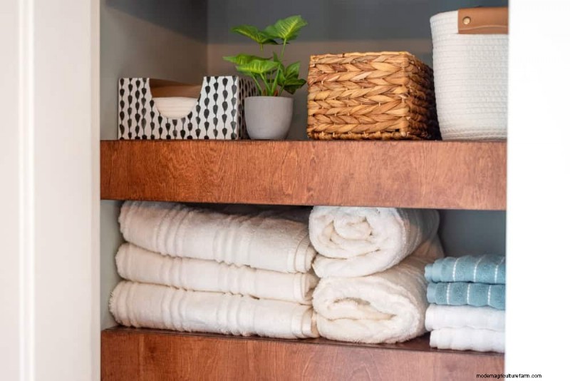 Small Apartment Plant Ideas: Designer-Approved Spaces