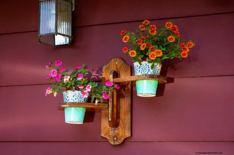 Small Apartment Plant Ideas: Designer-Approved Spaces