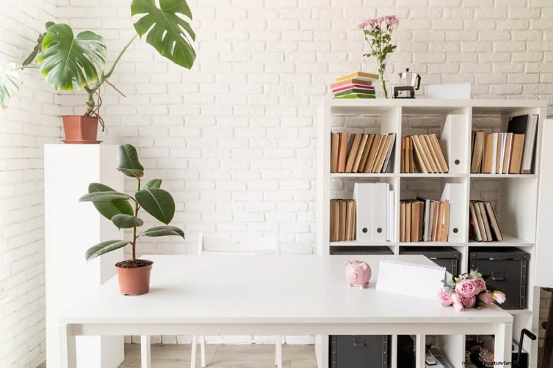 Small Apartment Plant Ideas: Designer-Approved Spaces