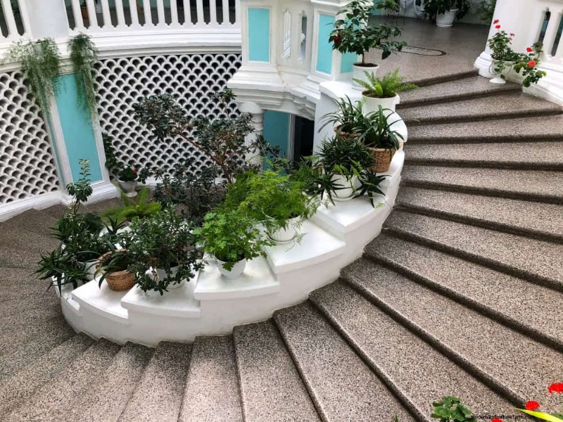 Small Apartment Plant Ideas: Designer-Approved Spaces