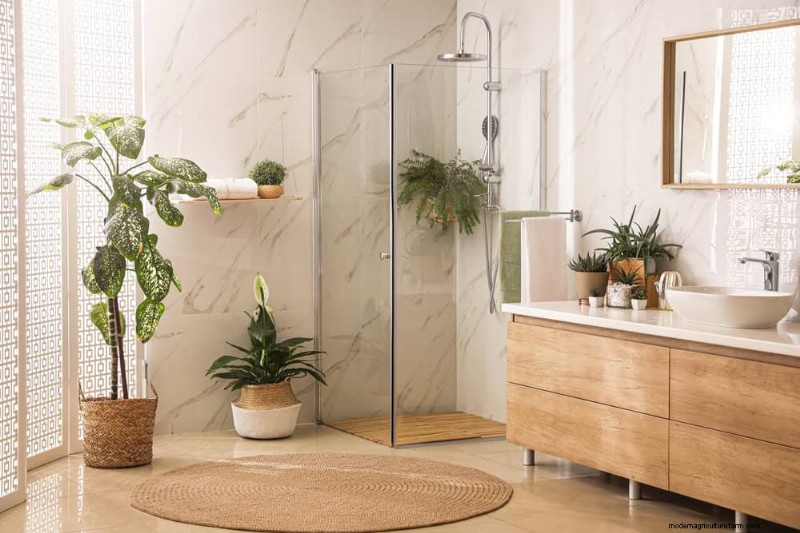 Small Apartment Plant Ideas: Designer-Approved Spaces