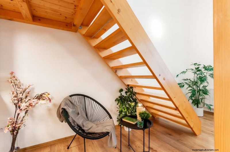 Small Apartment Plant Ideas: Designer-Approved Spaces