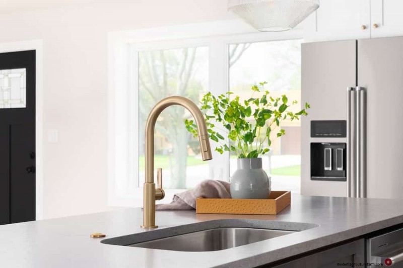 Small Apartment Plant Ideas: Designer-Approved Spaces