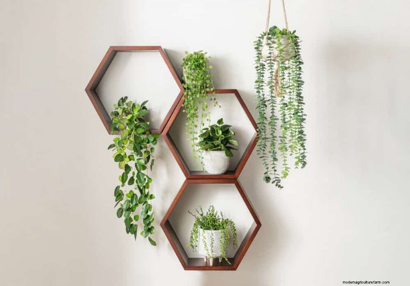 Small Apartment Plant Ideas: Designer-Approved Spaces