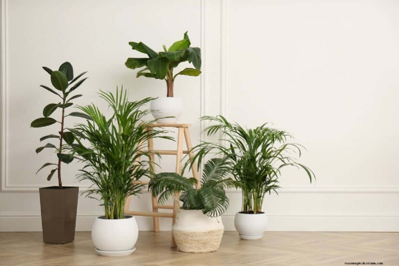 Protect Your Plants from Winter Root Rot: 14 Expert Watering Techniques