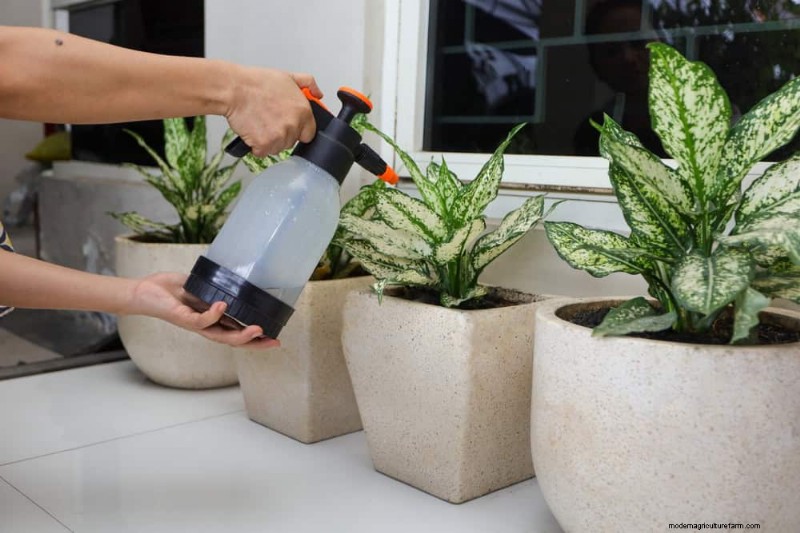 Protect Your Plants from Winter Root Rot: 14 Expert Watering Techniques