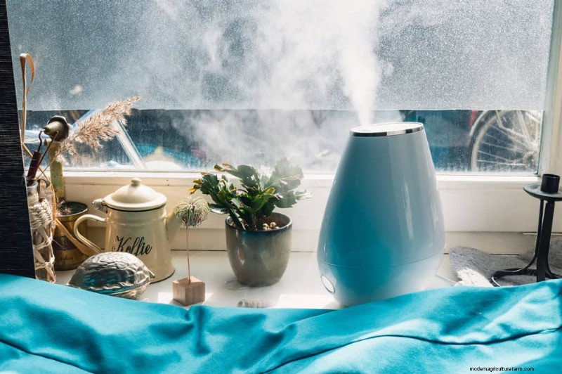 Winter Plant Care: Avoid These 11 Common Mistakes