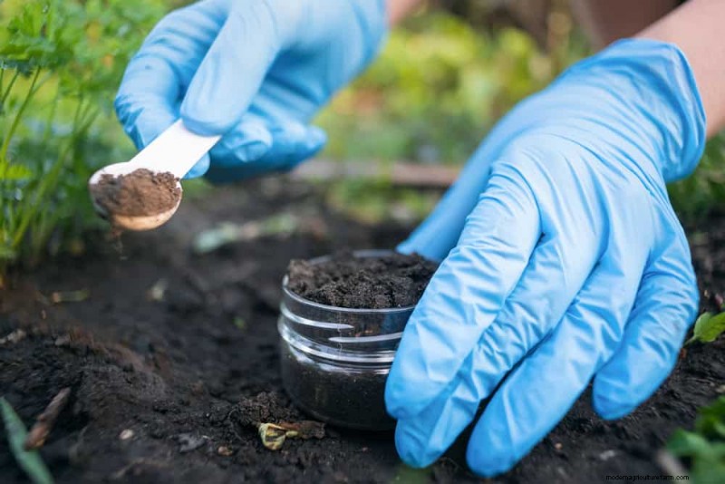 Winter Soil Health Check: 11 Methods for Spring Success